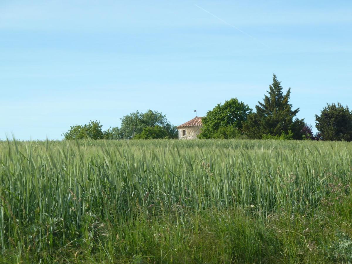 Chateau De Puissentut Homps (Gers) Exterior photo